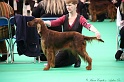 Crufts2011 258